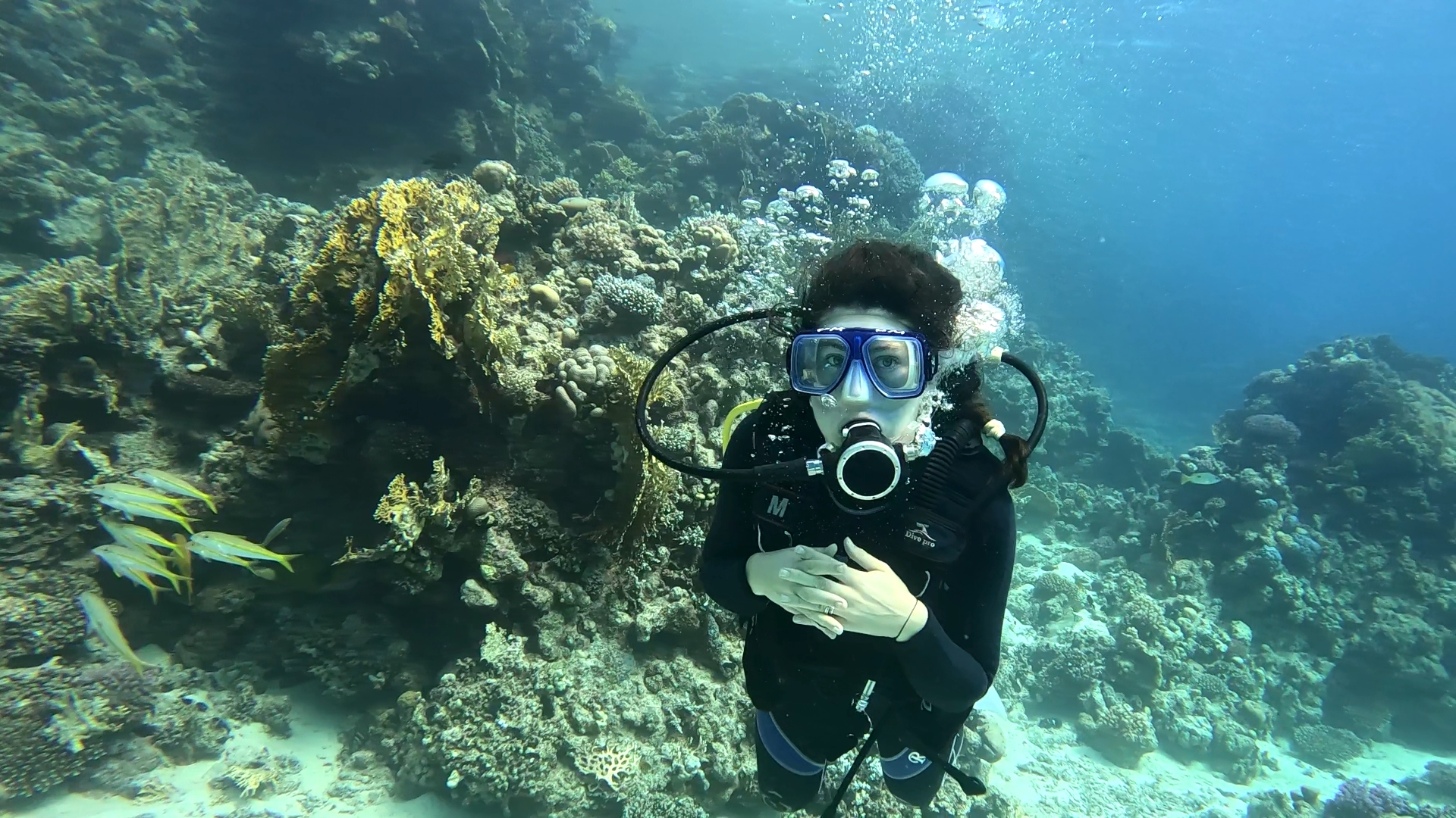 plongée sous marine hurghada