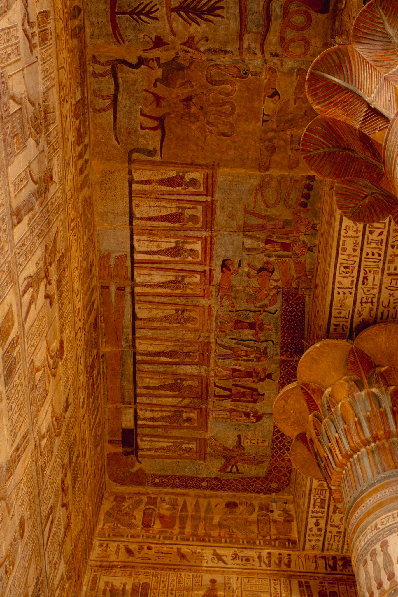 plafond astronomique du pronaos Esna