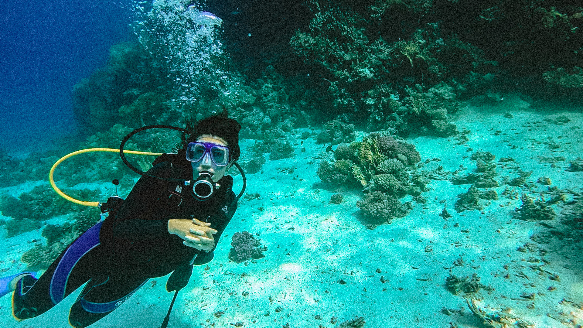 faire de la plongée en mer rouge en egypte