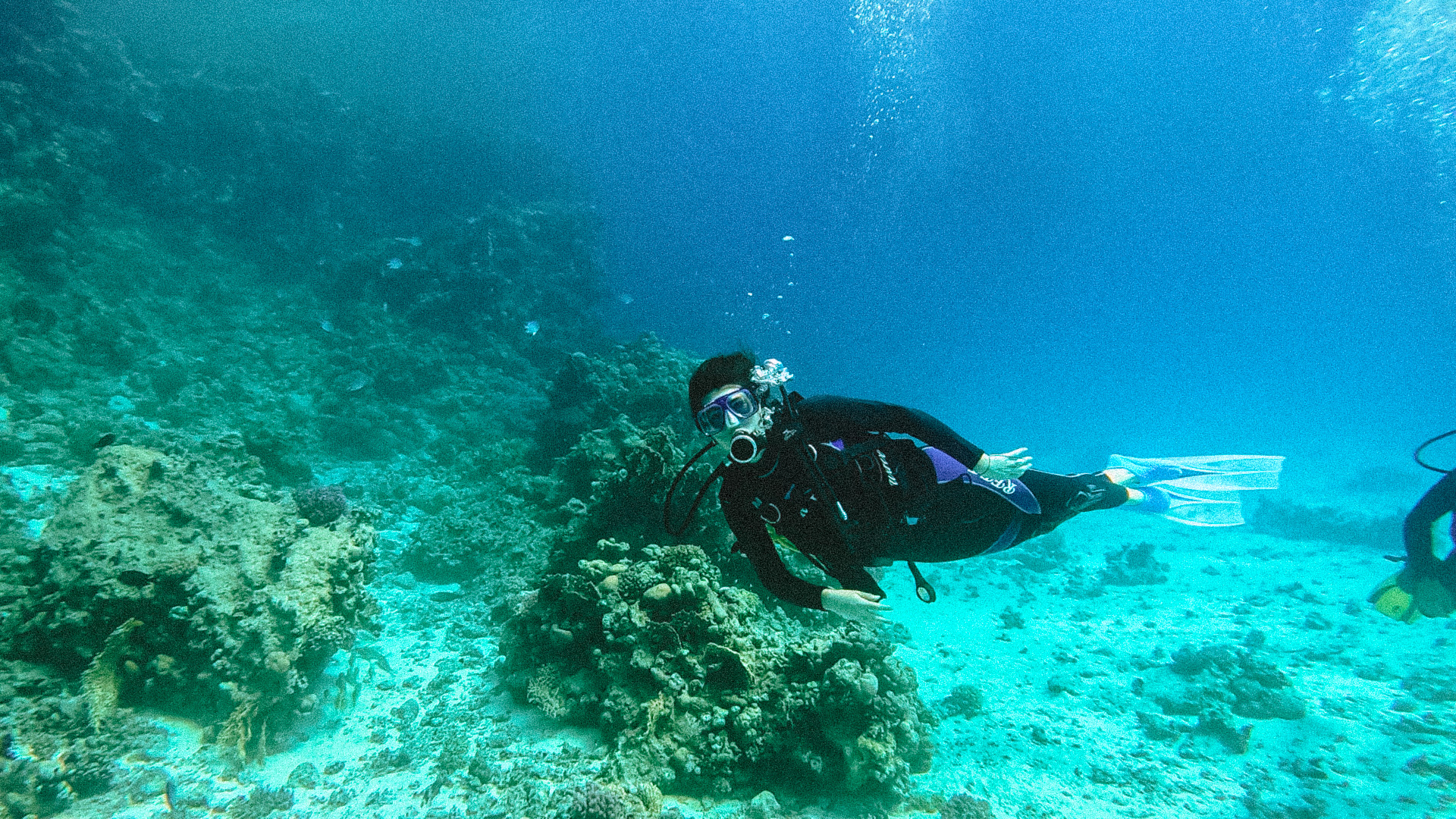 hurghada et la plongée sous marine