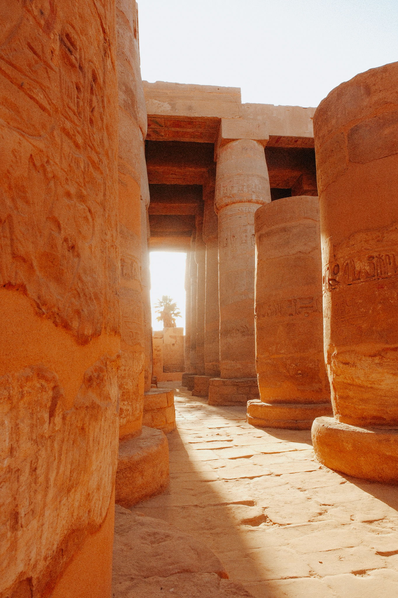 hieroglyphes au temple de karnak
