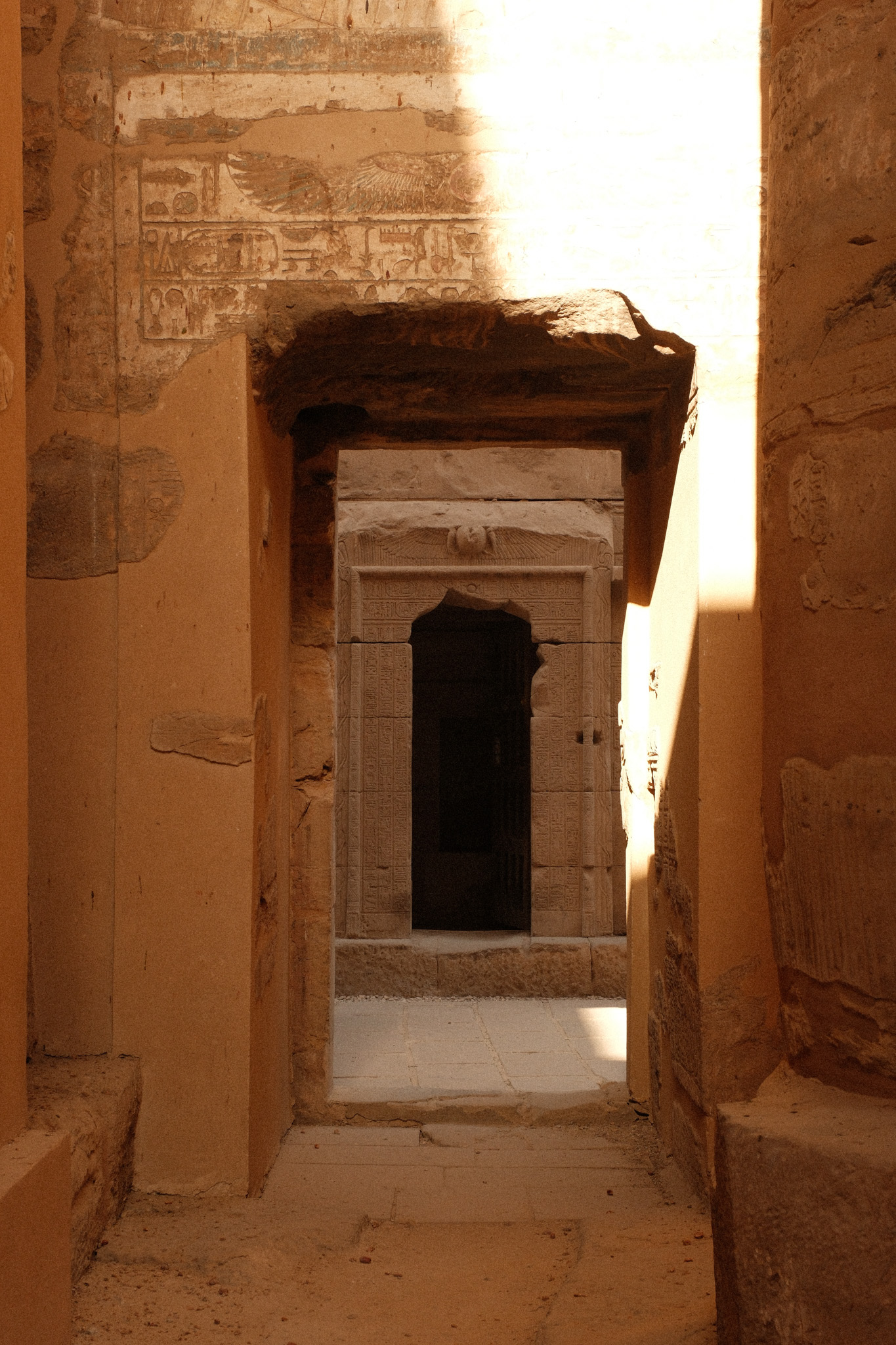 est ce que j'ai oublié de prendre les singes ? oui.