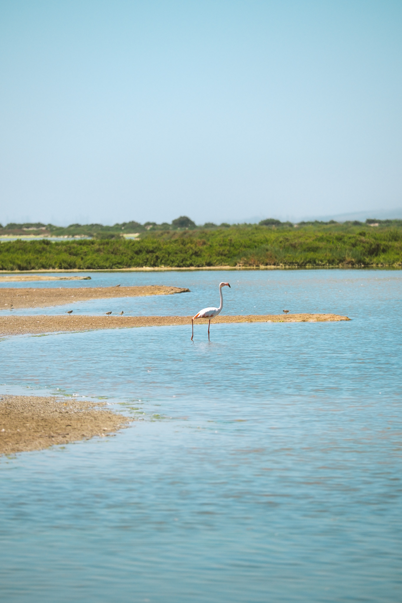 lagune de oualidia
