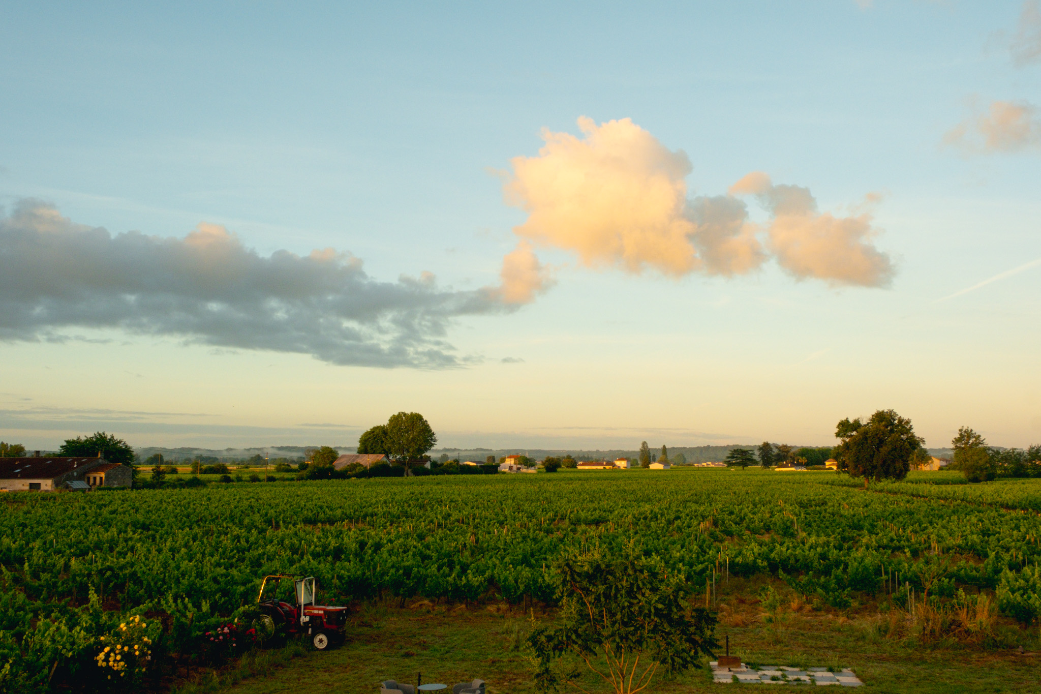 se reveiller au milieu des vignes