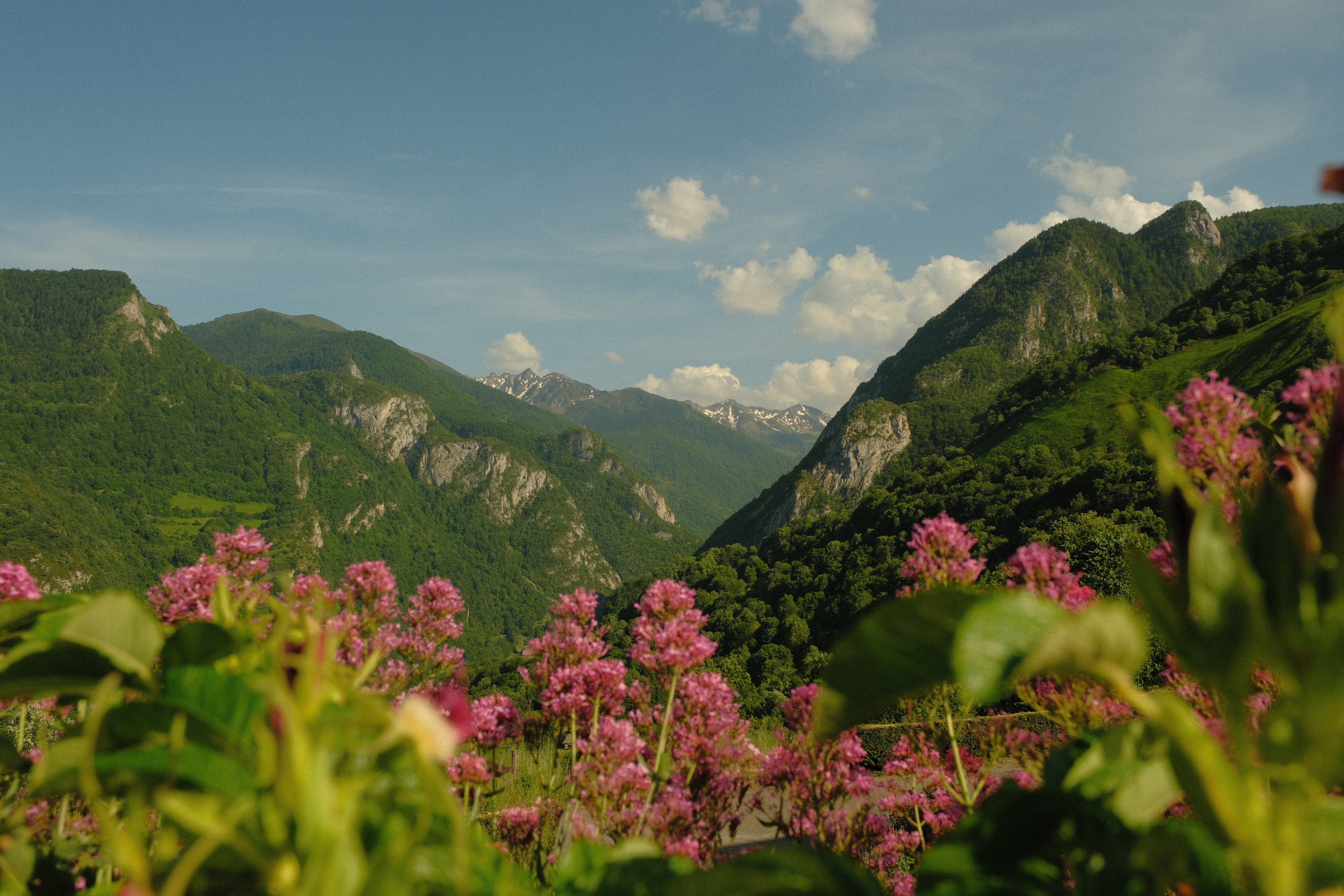 vue depuis borce vallée d'aspe