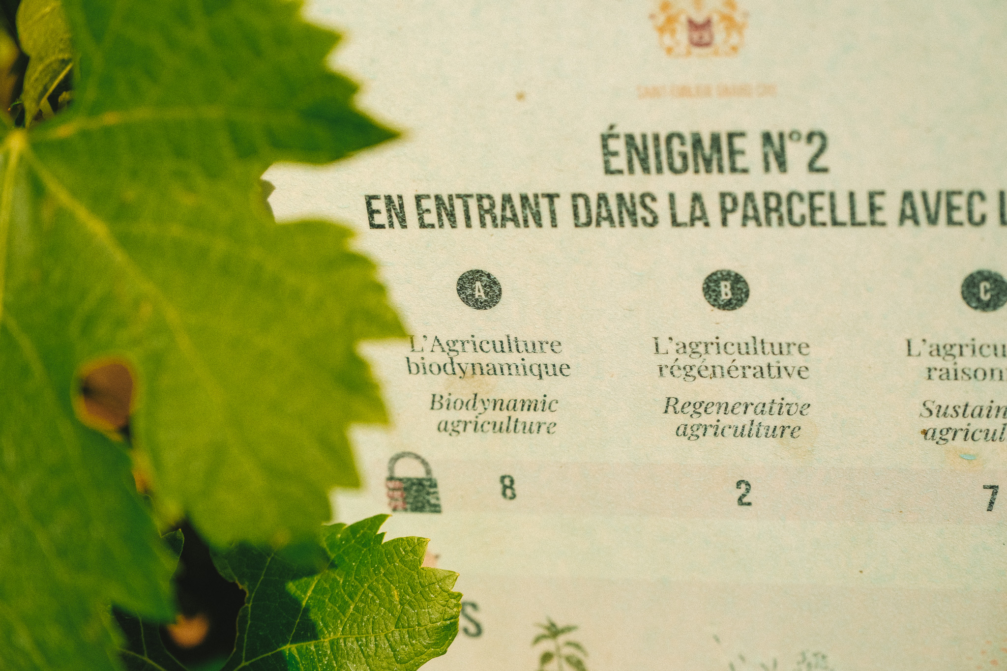 enigme parcours bulle verte