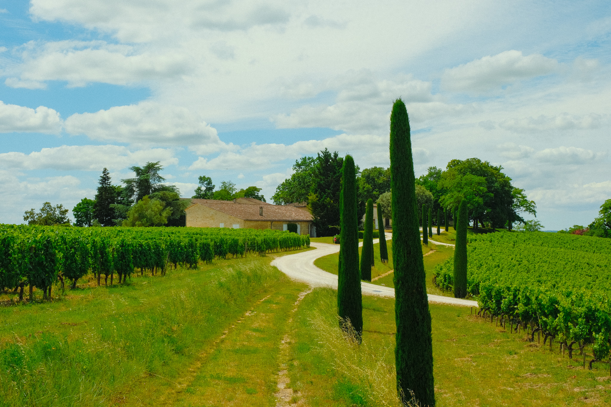 chateau quintus saint emilion