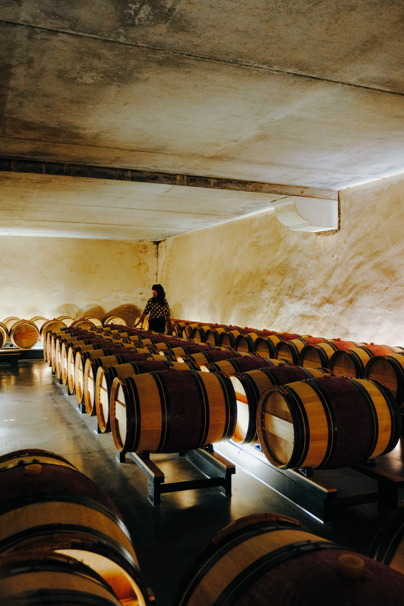 cave du chateau quintus